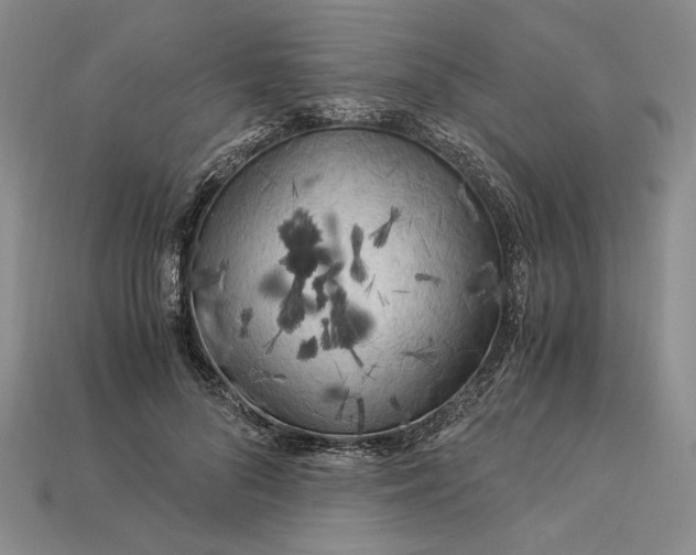 X0000112900696200909111525