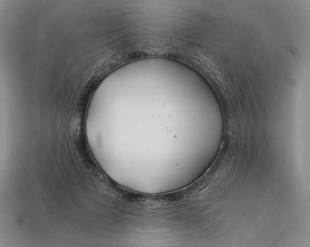 X0000112900697200909111525
