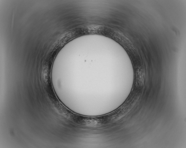 X0000112900698200909111525