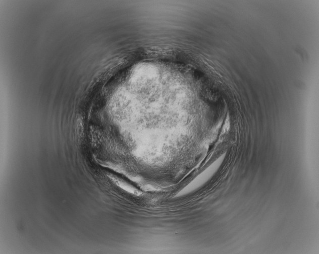X0000112900699200909111525