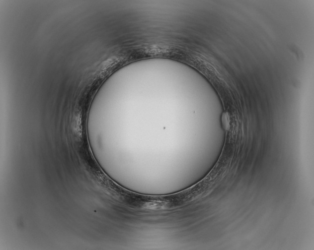 X0000112900700200909111525