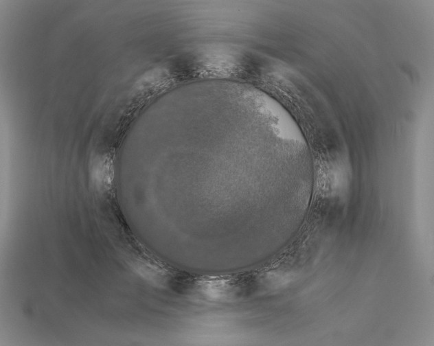 X0000112900701200909111525