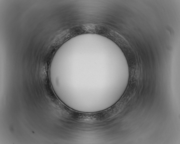 X0000112900702200909111525