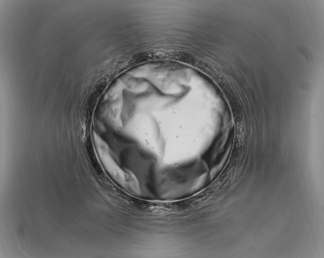 X0000112900703200909111525