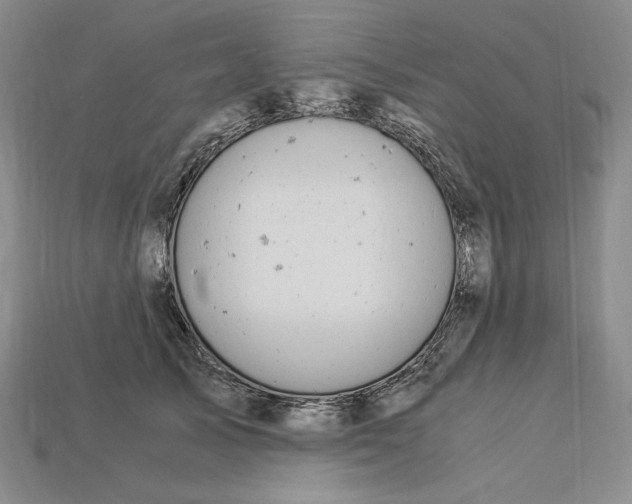 X0000112900705200909111525