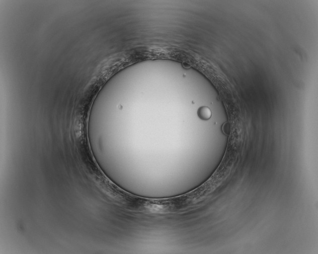 X0000112900706200909111525