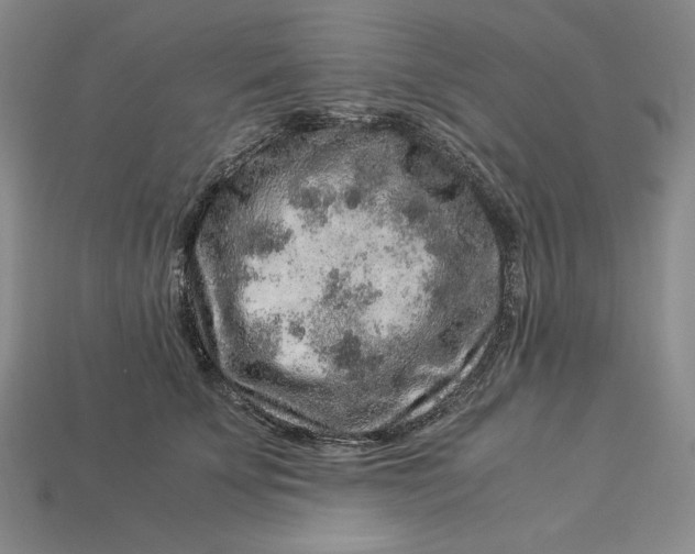 X0000112900707200909111525