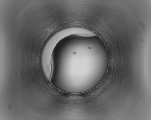 X0000112900708200909111525
