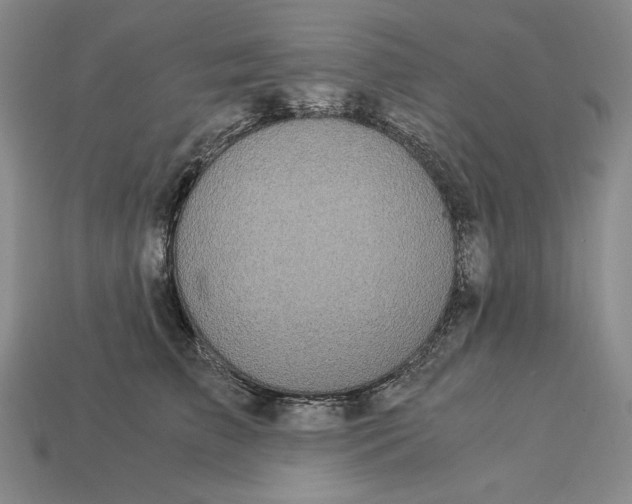 X0000112900709200909111525