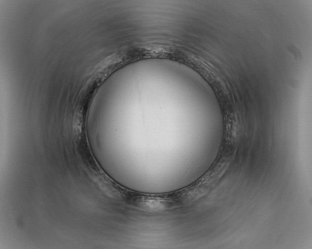 X0000112900710200909111525