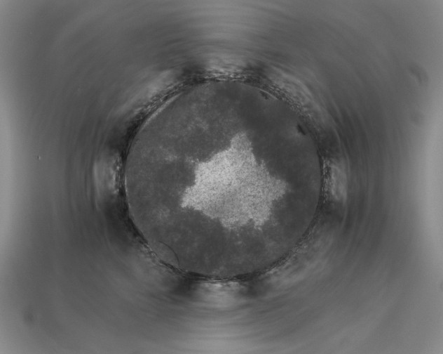 X0000112900712200909111525