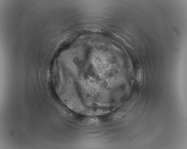 X0000112900715200909111525