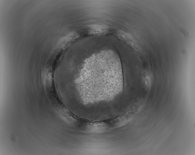 X0000112900716200909111524