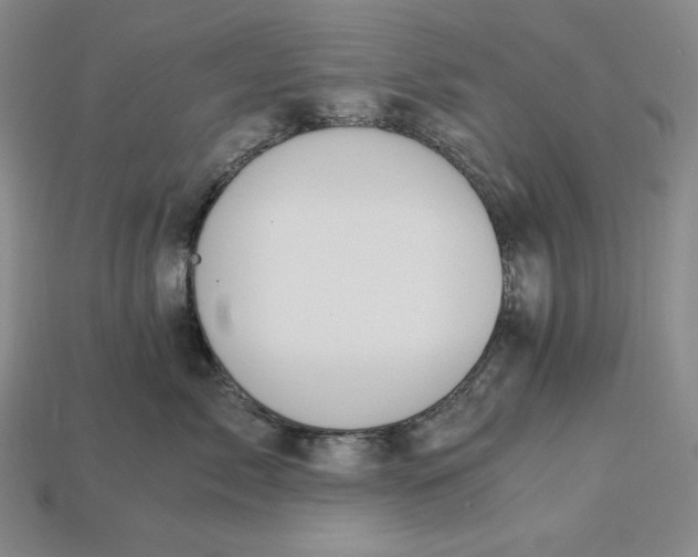X0000112900717200909111524