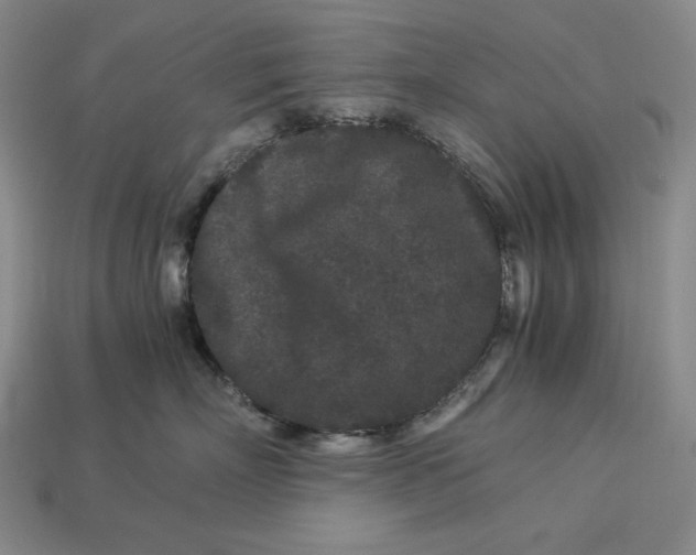 X0000112900718200909111524