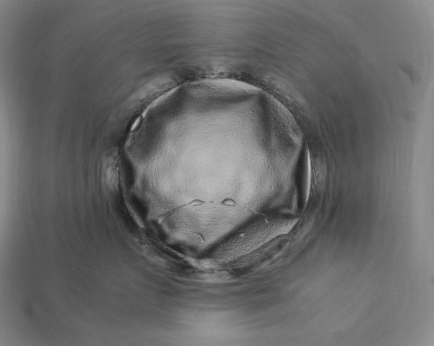 X0000112900719200909111524