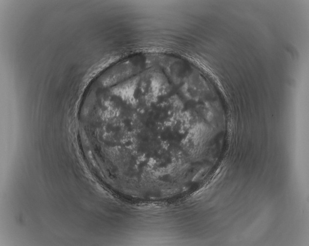 X0000112900721200909111524