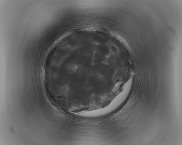 X0000112900722200909111524