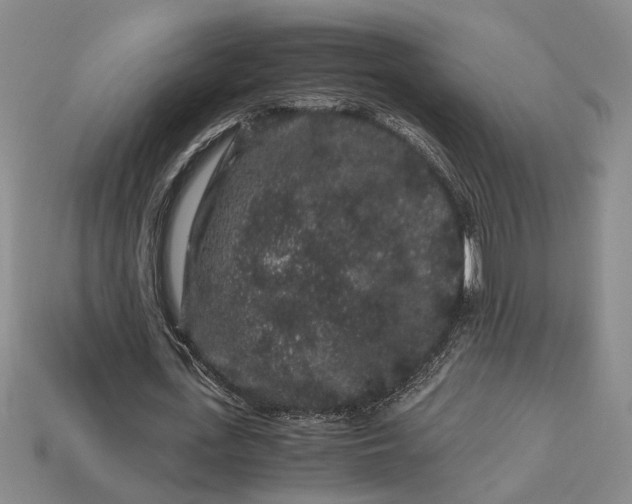 X0000112900723200909111524
