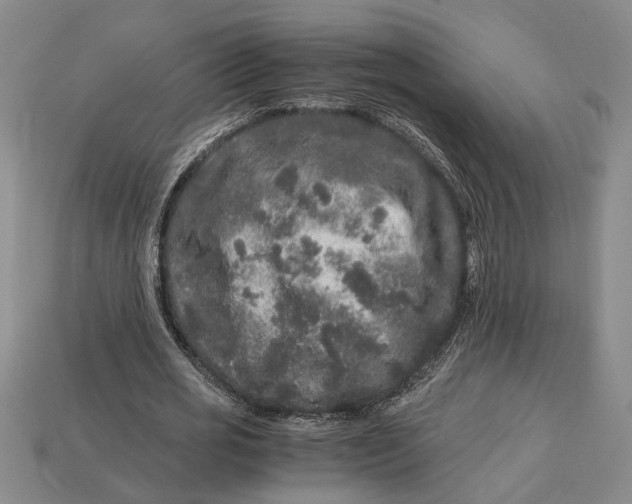 X0000112900725200909111524