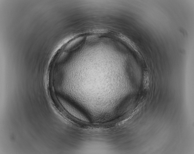 X0000112900726200909111524