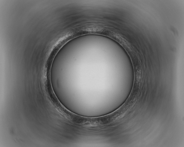 X0000112900727200909111524