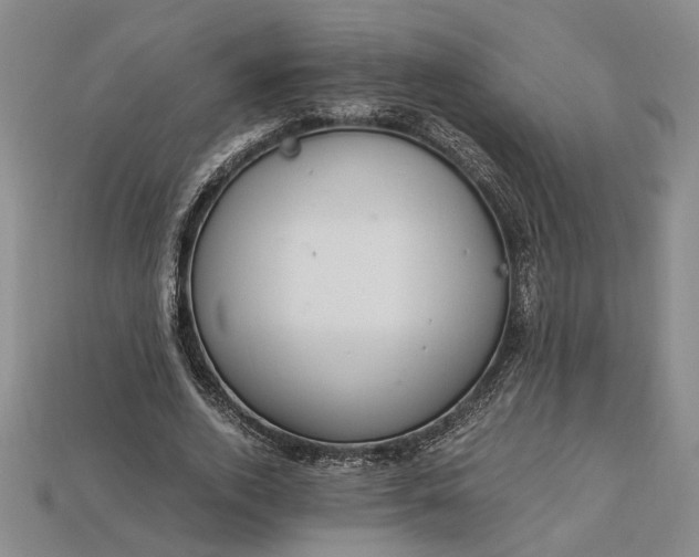 X0000112900728200909111524
