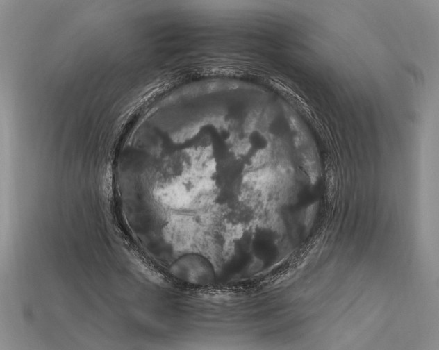 X0000112900729200909111524