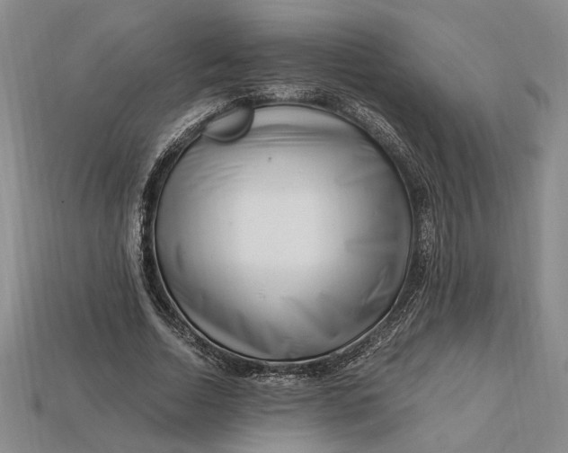 X0000112900730200909111524