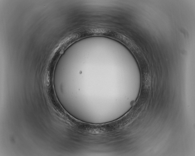 X0000112900731200909111524