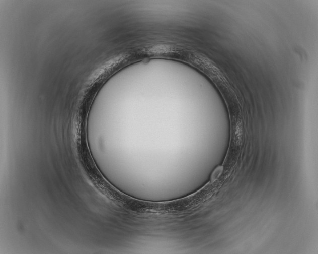 X0000112900732200909111524