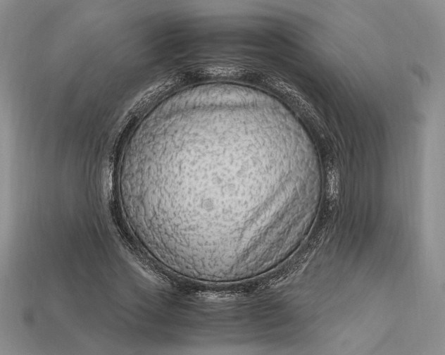 X0000112900733200909111524