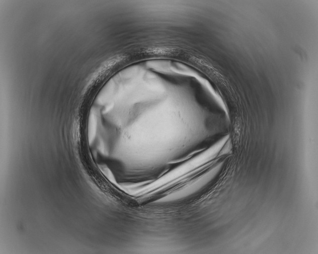 X0000112900734200909111524
