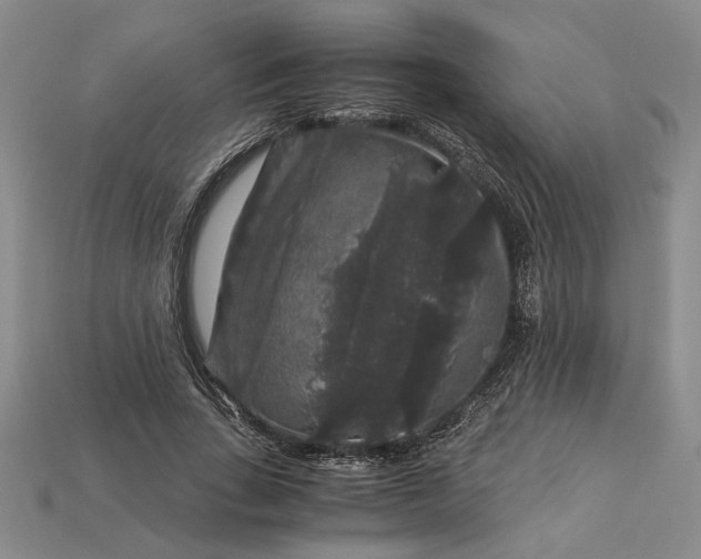 X0000112900735200909111524