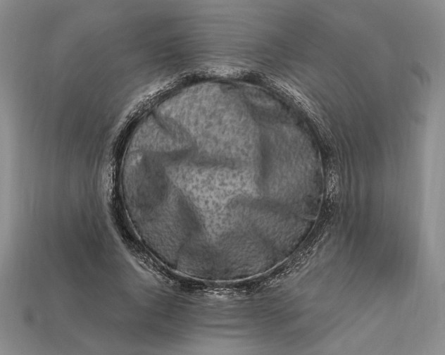 X0000112900736200909111524