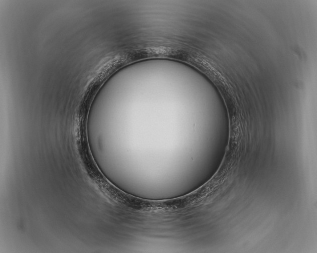 X0000112900738200909111524