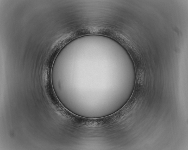 X0000112900740200909111524