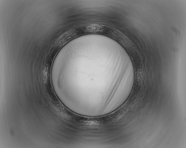 X0000112900741200909111524