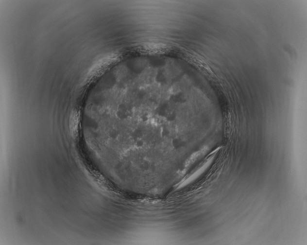 X0000112900742200909111524