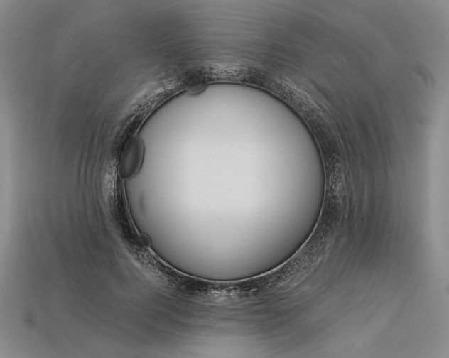 X0000112900744200909111524