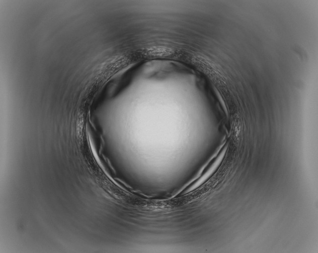 X0000112900745200909111524
