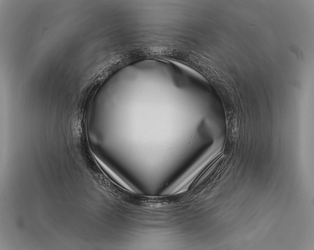 X0000112900746200909111524