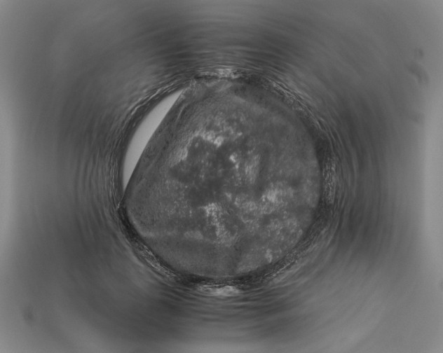 X0000112900747200909111524