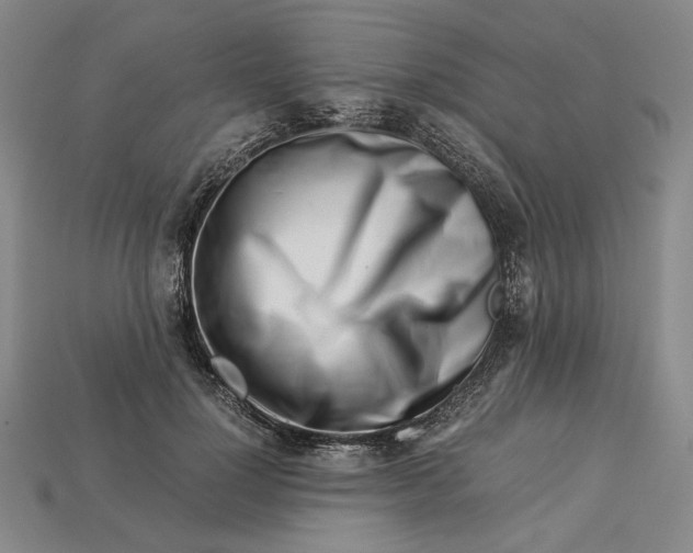 X0000112900748200909111524