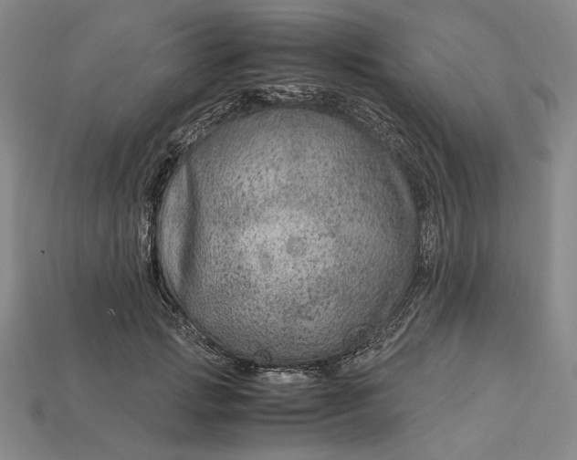 X0000112900749200909111524