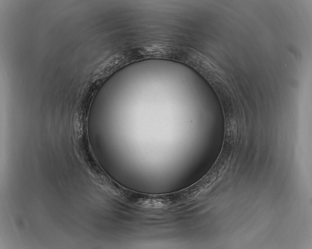 X0000112900751200909111524