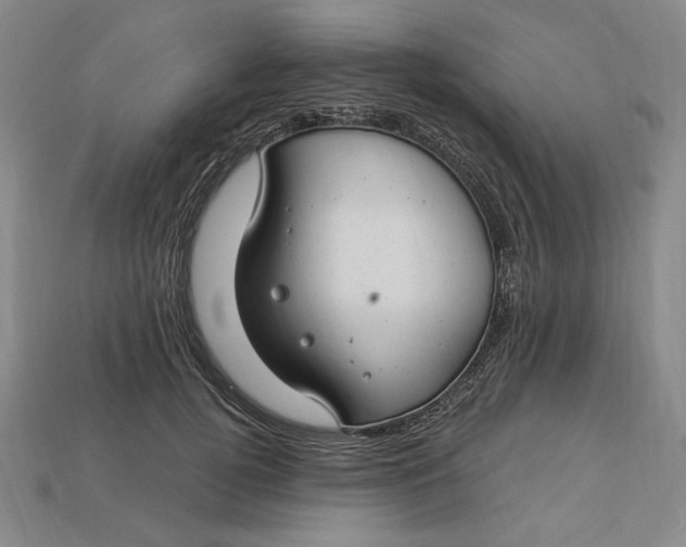 X0000112900752200909111524