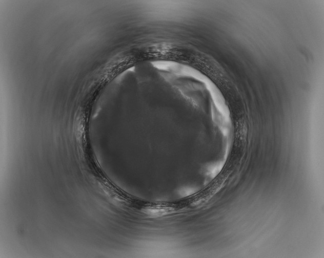 X0000112900754200909111524