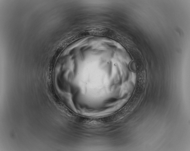 X0000112900755200909111524