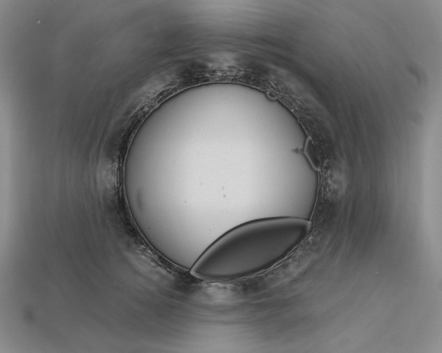 X0000112900756200909111524